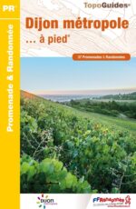 Topo_dijon-metropole-a-pied
